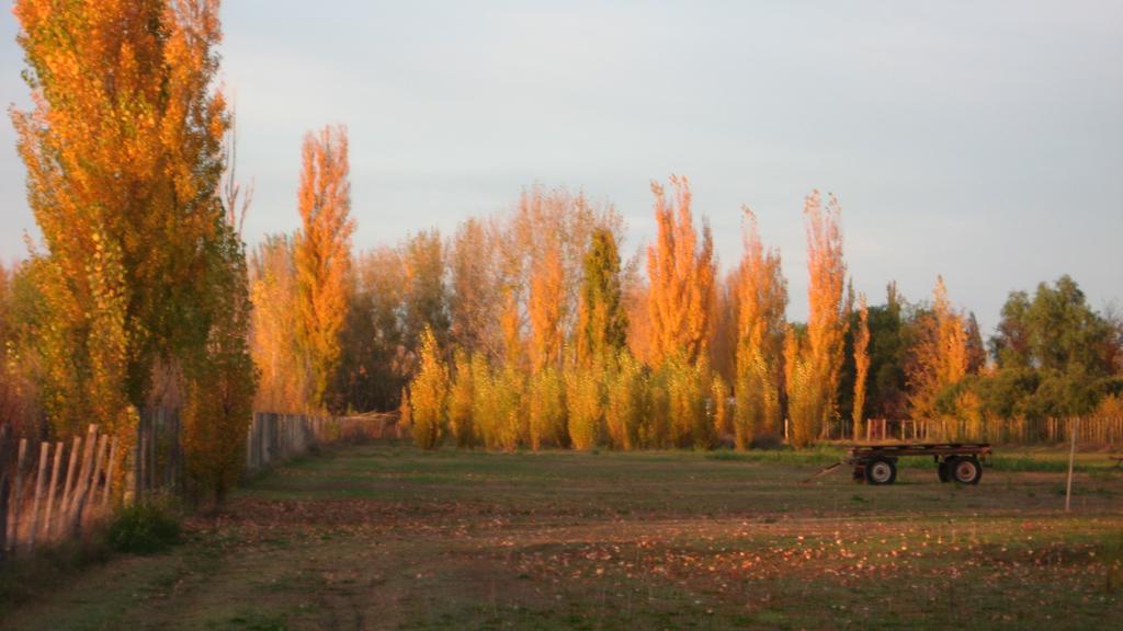 Posada Del Viajero San Rafael Luaran gambar