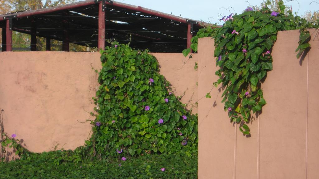 Posada Del Viajero San Rafael Luaran gambar